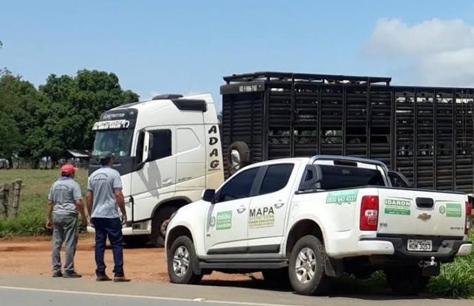 Servidores estaduais de Rondônia terão até 31 de julho para atualizar  recadastramento no sistema Sauron - Jaci Notícias